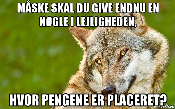 måske skal du give endnu en nøgle i lejligheden, hvor pengene er placeret?, Мем   Volf