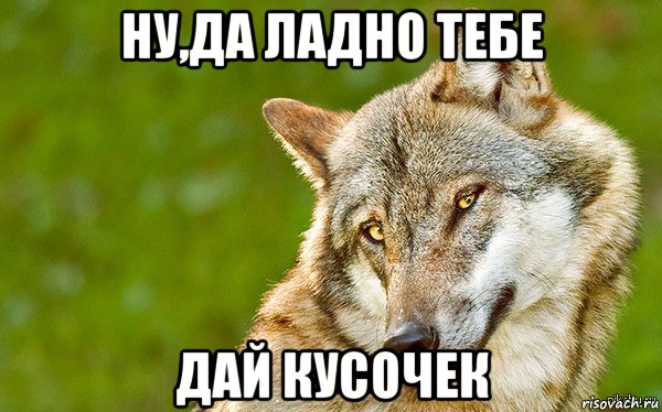 ну,да ладно тебе дай кусочек, Мем   Volf