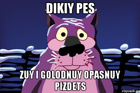 dikiy pes zuy i golodnuy opasnuy pizdets