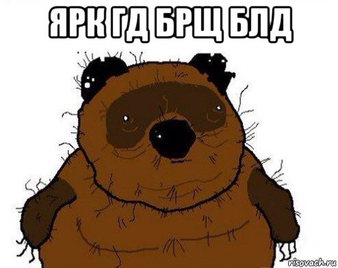 ярк гд брщ блд 