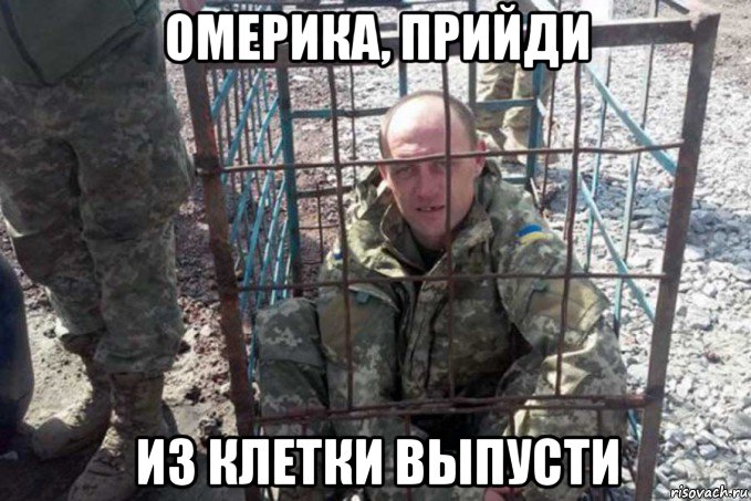 омерика, прийди из клетки выпусти