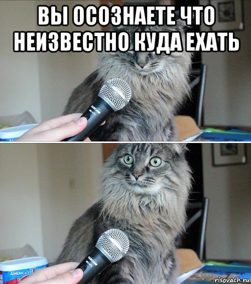 вы осознаете что неизвестно куда ехать 