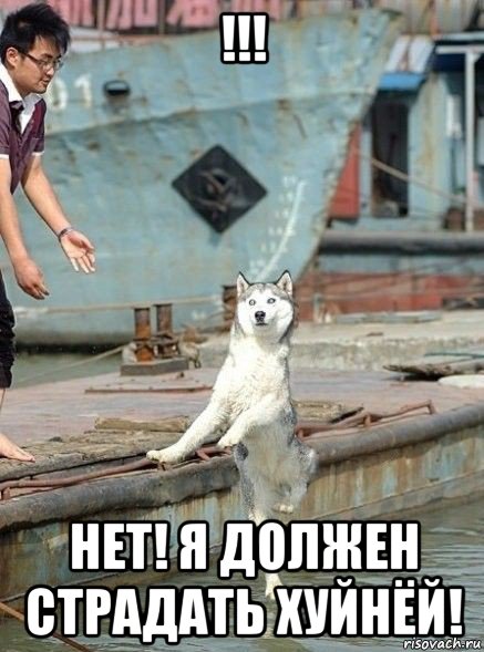 !!! нет! я должен страдать хуйнёй!