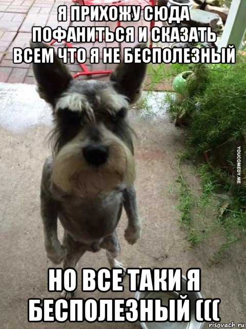 я прихожу сюда пофаниться и сказать всем что я не бесполезный но все таки я бесполезный (((, Мем Я пришел сюда поесть