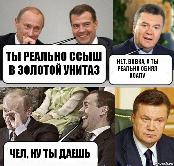 ты реально ссыш в золотой унитаз нет. вовка, а ты реально обнял коалу чел, ну ты даешь, Комикс  Разговор Януковича с Путиным и Медведевым