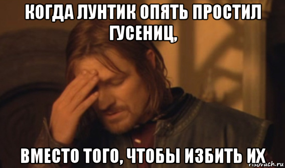 когда лунтик опять простил гусениц, вместо того, чтобы избить их, Мем Закрывает лицо