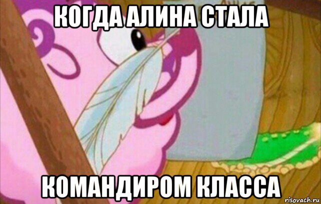 когда алина стала командиром класса, Мем Завещание