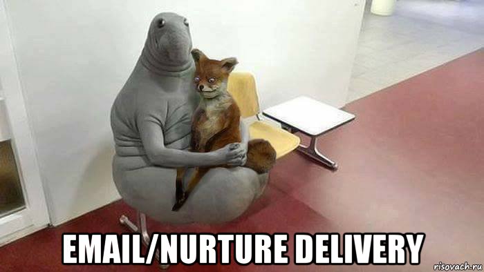  email/nurture delivery