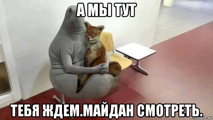 а мы тут тебя ждем.майдан смотреть.