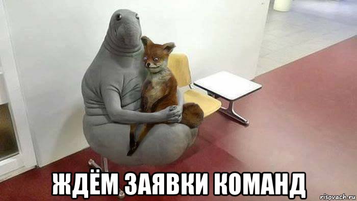  ждём заявки команд