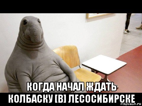  когда начал ждать колбаску [в] лесосибирске
