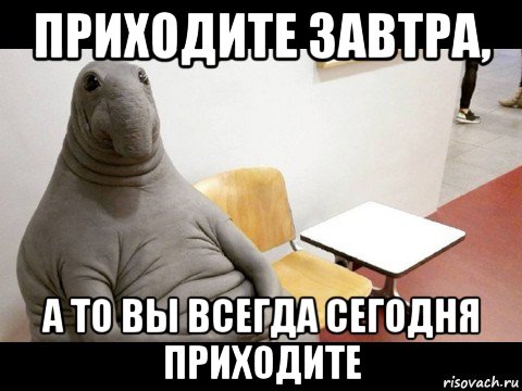 приходите завтра, а то вы всегда сегодня приходите