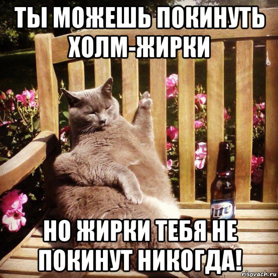ты можешь покинуть холм-жирки но жирки тебя не покинут никогда!