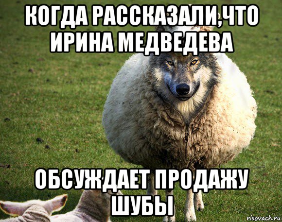 когда рассказали,что ирина медведева обсуждает продажу шубы, Мем Злая Овца