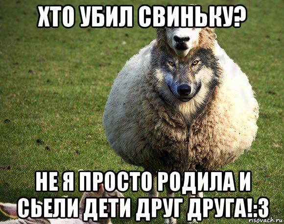 хто убил свиньку? не я просто родила и сьели дети друг друга!:3, Мем Злая Овца