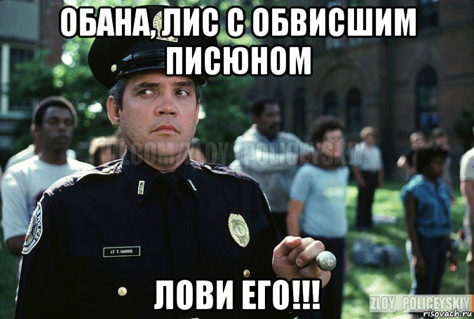 обана, лис с обвисшим писюном лови его!!!