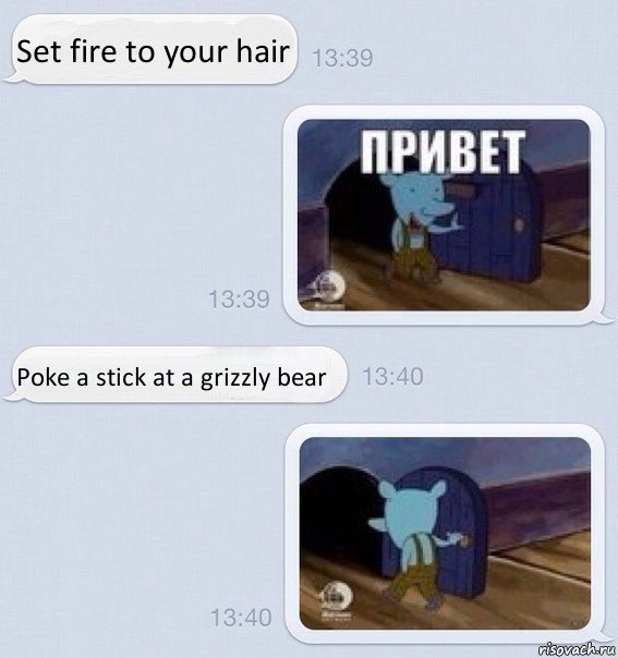 Set fire to your hair Poke a stick at a grizzly bear