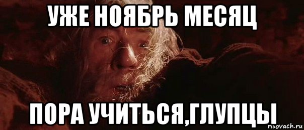 уже ноябрь месяц пора учиться,глупцы