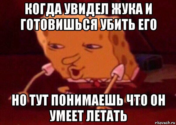 когда увидел жука и готовишься убить его но тут понимаешь что он умеет летать, Мем    Bettingmemes