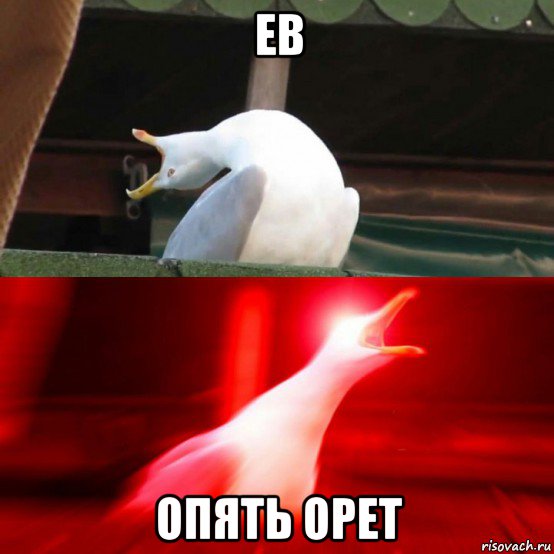 ев опять орет