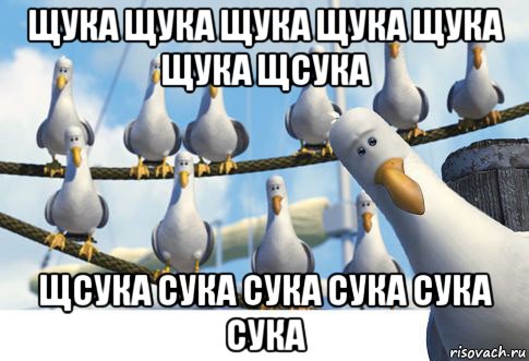 щука щука щука щука щука щука щсука щсука сука сука сука сука сука