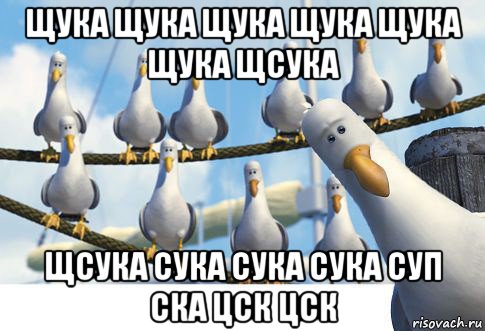 щука щука щука щука щука щука щсука щсука сука сука сука суп ска цск цск
