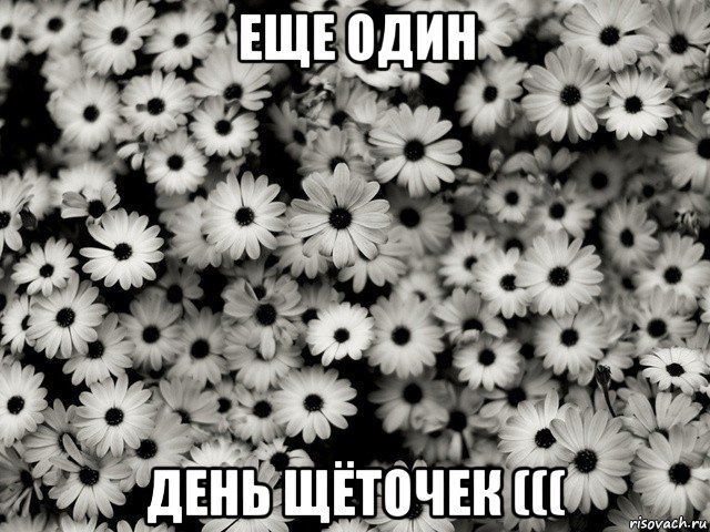 еще один день щёточек (((
