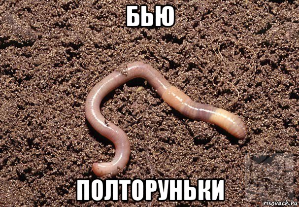бью полторуньки