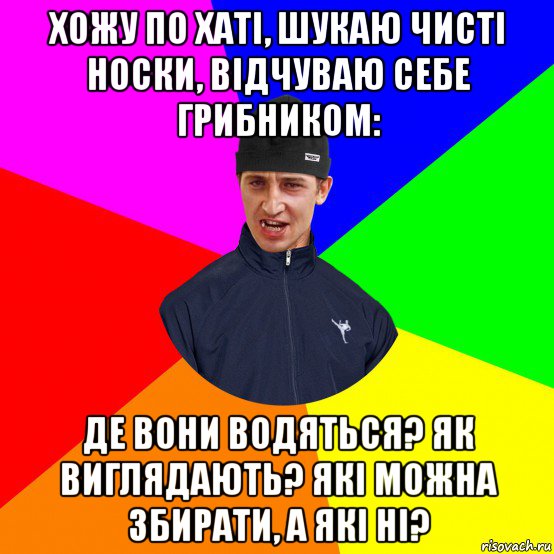 хожу по хаті, шукаю чисті носки, відчуваю себе грибником: де вони водяться? як виглядають? які можна збирати, а які ні?