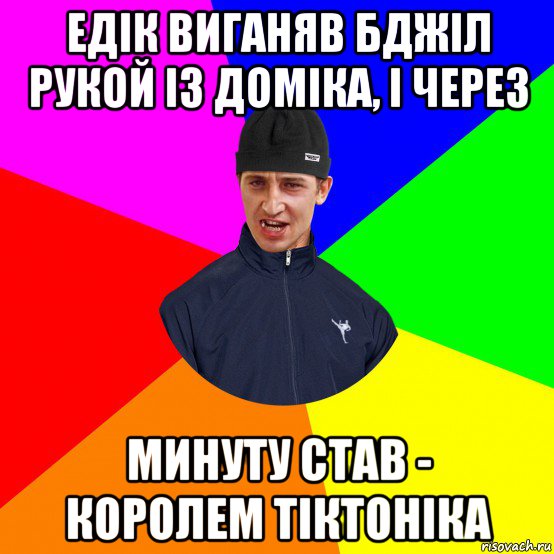 едік виганяв бджіл рукой із доміка, і через минуту став - королем тіктоніка