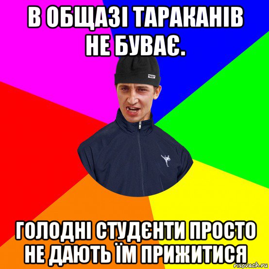 в общазі тараканів не буває. голодні студєнти просто не дають їм прижитися