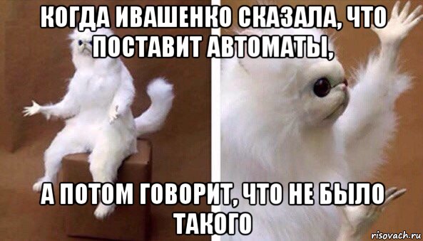 когда ивашенко сказала, что поставит автоматы, а потом говорит, что не было такого, Мем Чучело кота