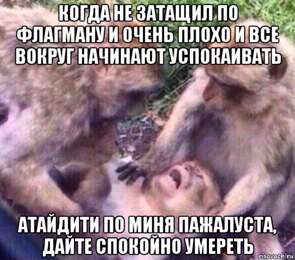когда не затащил по флагману и очень плохо и все вокруг начинают успокаивать атайдити по миня пажалуста, дайте спокойно умереть