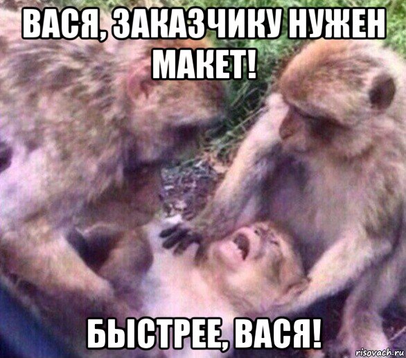 вася, заказчику нужен макет! быстрее, вася!