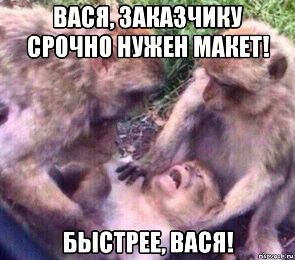 вася, заказчику срочно нужен макет! быстрее, вася!