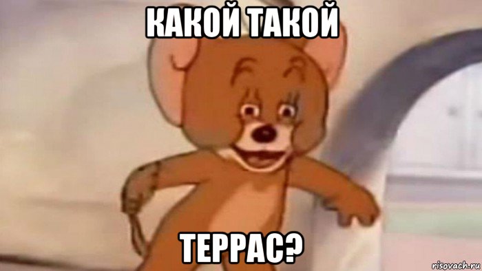какой такой террас?
