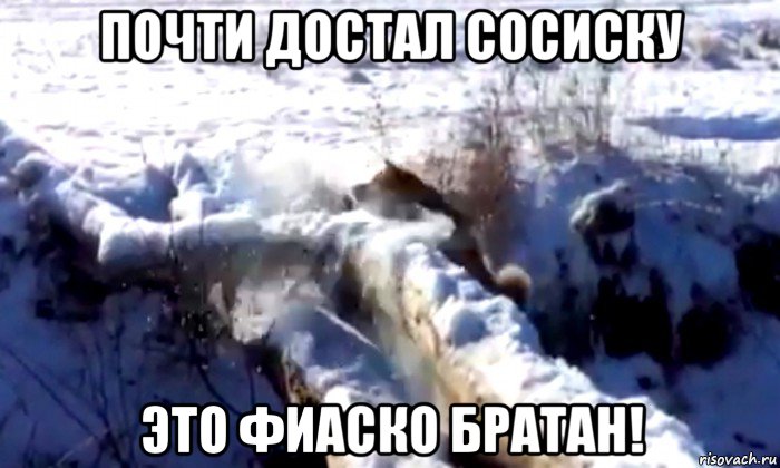 почти достал сосиску это фиаско братан!