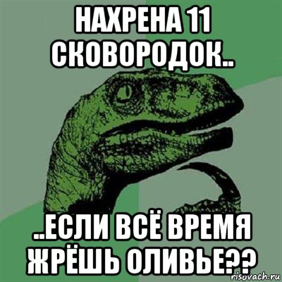 нахрена 11 сковородок.. ..если всё время жрёшь оливье??, Мем Филосораптор