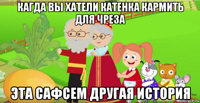 кагда вы хатели катенка кармить для чреза эта сафсем другая история