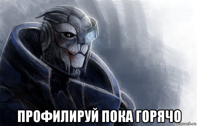  профилируй пока горячо, Мем гаррус
