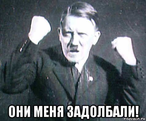  они меня задолбали!