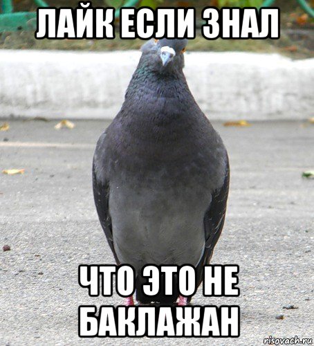 лайк если знал что это не баклажан