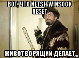 вот, что netsh winsock reset животворящий делает
