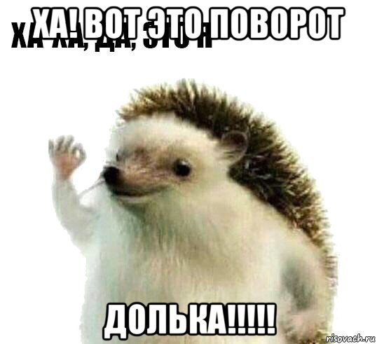 ха! вот это поворот долька!!!!!, Мем Ха-ха да это я