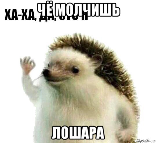 чё молчишь лошара, Мем Ха-ха да это я