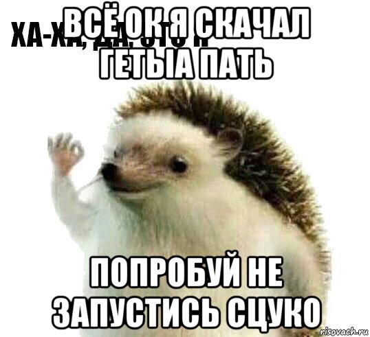 всё ок я скачал гетыа пать попробуй не запустись сцуко, Мем Ха-ха да это я