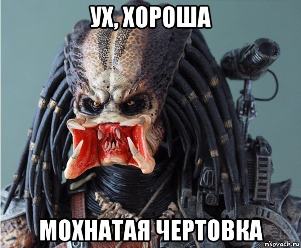 ух, хороша мохнатая чертовка, Мем Хищник
