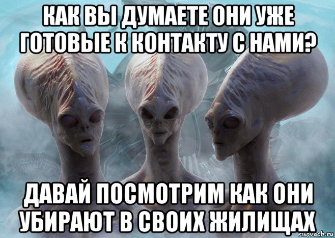 как вы думаете они уже готовые к контакту с нами? давай посмотрим как они убирают в своих жилищах