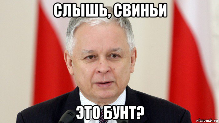 слышь, свиньи это бунт?