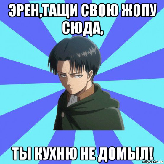 эрен,тащи свою жопу сюда, ты кухню не домыл!